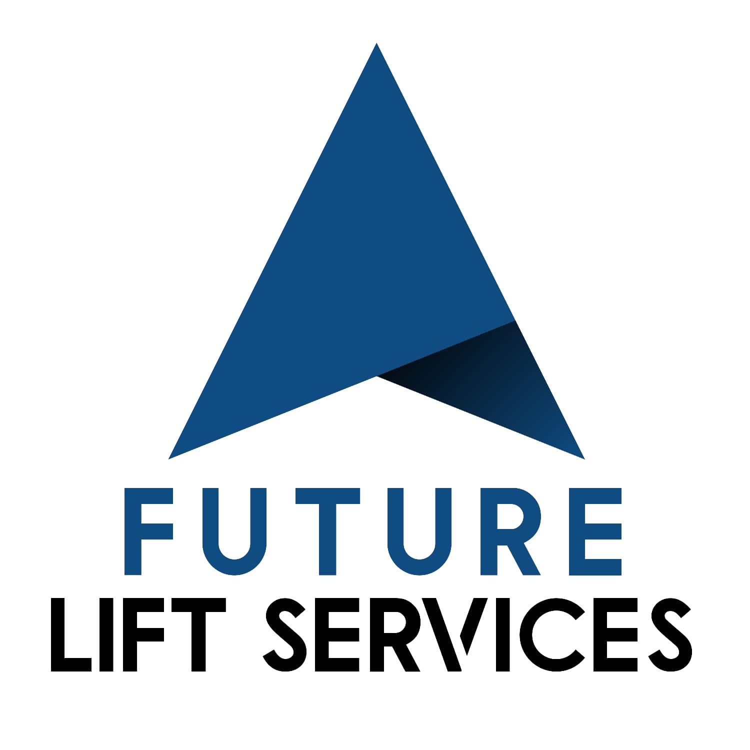 Future Lift Services